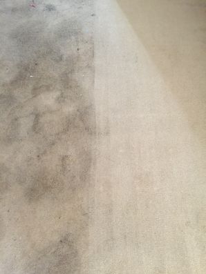 Before & After Carpet Cleaning in Jacksonville, FL (1)