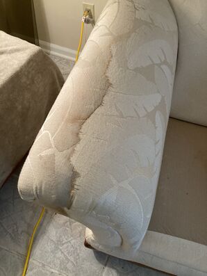Upholstery/Couch Cleaning in Jacksonville, FL (3)