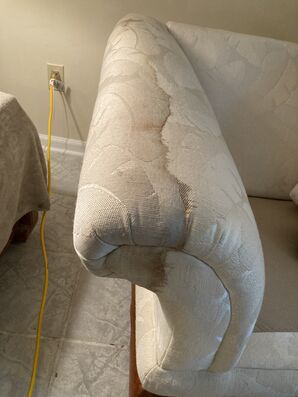 Upholstery/Couch Cleaning in Jacksonville, FL (1)