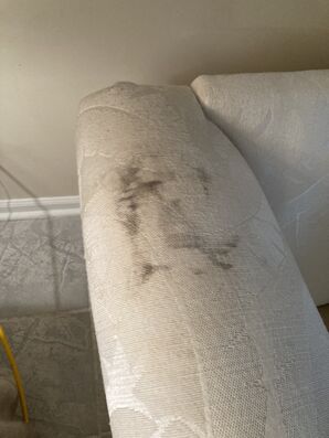 Upholstery/Couch Cleaning in Jacksonville, FL (2)