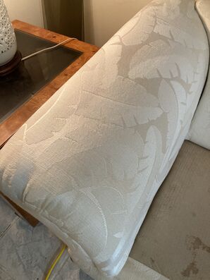 Upholstery/Couch Cleaning in Jacksonville, FL (4)