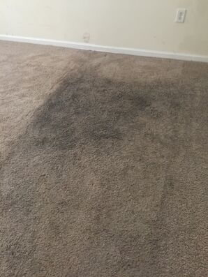 Before & After Carpet Cleaning in Jacksonville, FL (2)