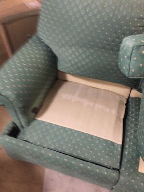 Upholstery Cleaning in Jacksonville, FL (1)