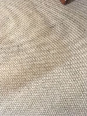 Carpet Cleaning in Jacksonville, FL (2)