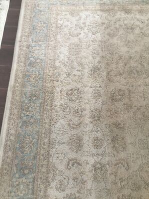 Rug Cleaning in Jacksonville, FL (4)