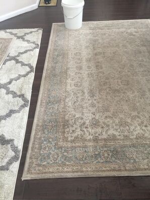 Rug Cleaning in Jacksonville, FL (2)