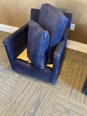 Upholstery Cleaning in Jacksonville, FL (4)