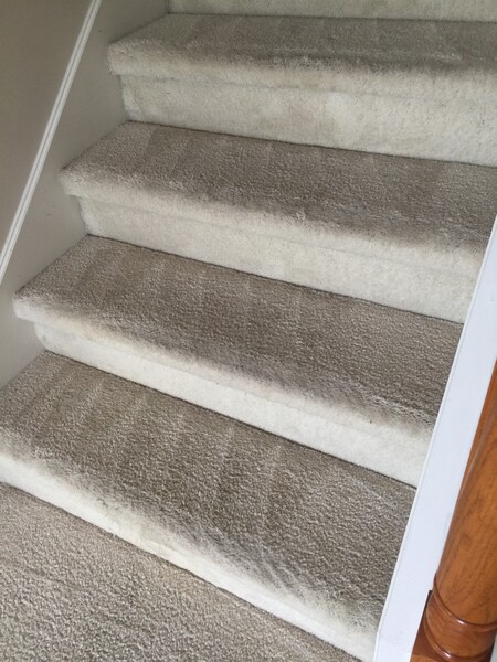 Carpet Cleaning of Stairs in Jacksonville, FL (1)