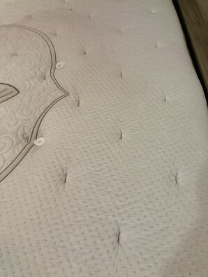 Mattress Cleaning in Jacksonville, FL (1)