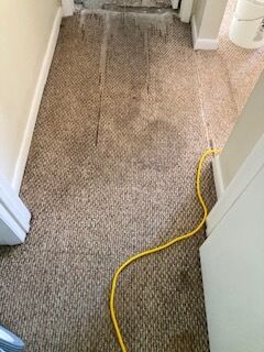 Carpet Cleaning & Stain Removal in Jacksonville, FL (4)