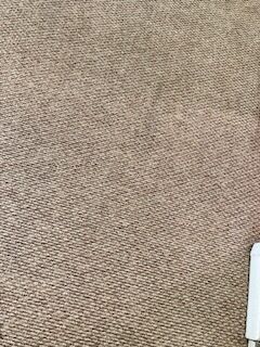 Carpet Cleaning & Stain Removal in Jacksonville, FL (6)