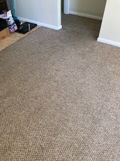 Carpet Cleaning & Stain Removal in Jacksonville, FL (8)