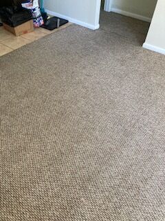 Carpet Cleaning & Stain Removal in Jacksonville, FL (7)