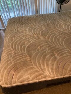 Mattress Cleaning in Jacksonville, FL (2)