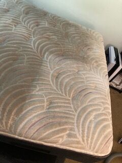Mattress Cleaning in Jacksonville, FL (3)