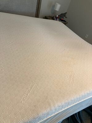 Before & After Mattress Cleaning in Jacksonville, FL (2)