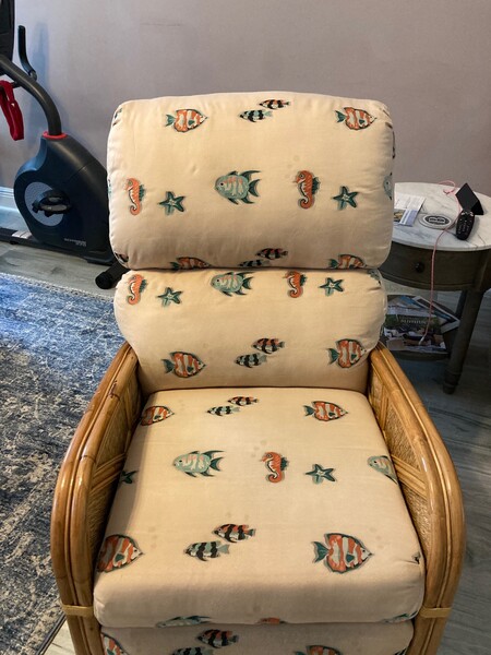 Before & After Upholstery Cleaning in Jacksonville, FL (5)