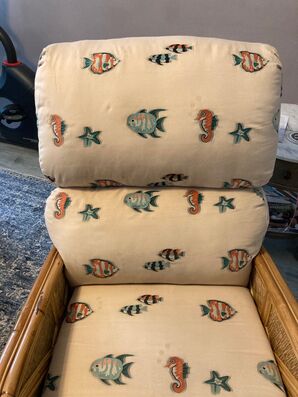 Before & After Upholstery Cleaning in Jacksonville, FL (4)