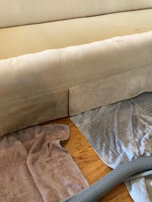 Before & After Upholstery Cleaning in Jacksonville, FL (3)