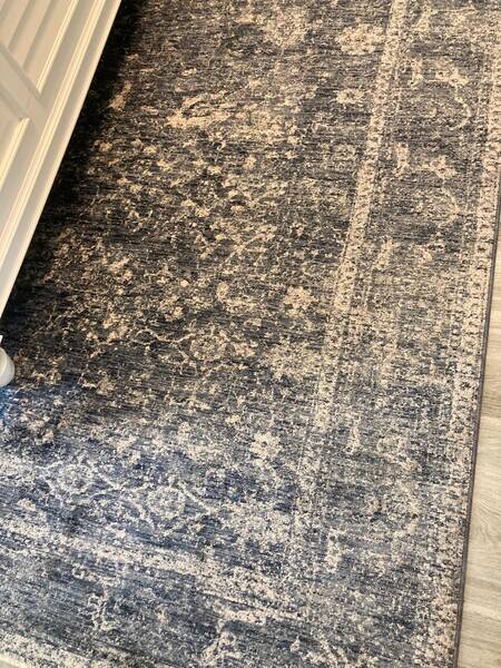 Area Rug Cleaning in Saint Augustine, FL (3)