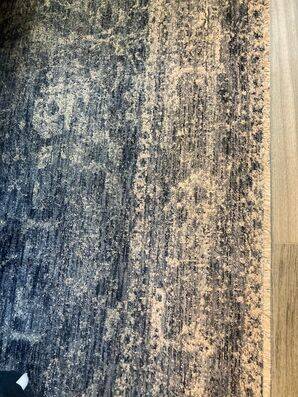 Area Rug Cleaning in Saint Augustine, FL (1)