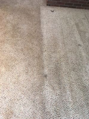 Before & After Carpet Cleaning in Jacksonville, FL (1)