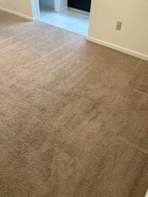 Before & After Carpet Cleaning in Jacksonville, FL (5)