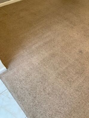 Before & After Carpet Cleaning in Jacksonville, FL (4)