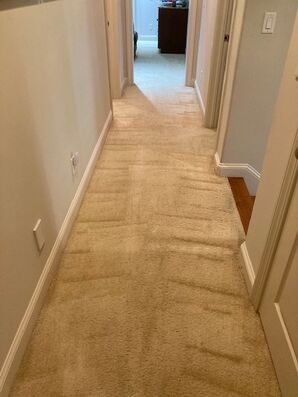 Before & After Carpet Cleaning in Jacksonville, FL (6)