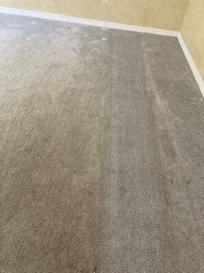 Before & After Carpet Cleaning in Jacksonville, FL (3)