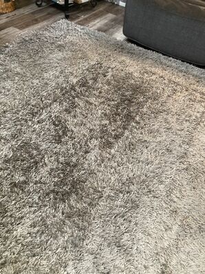 Upholstery & Area Rug Cleaning in Jacksonville, FL (2)