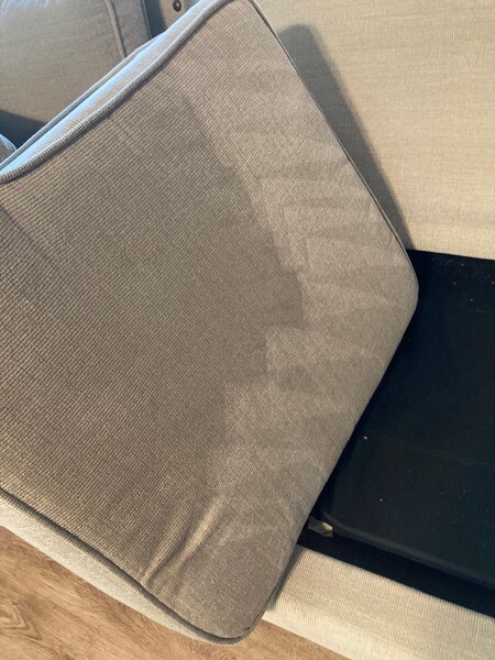 Upholstery Cleaning in Jacksonville, FL (3)