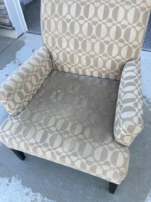 Upholstery Cleaning in Jacksonville, FL (3)