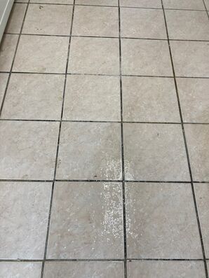 Tile and Grout Cleaning Services in Jacksonville, FL (2)