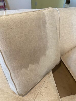 Upholstery Cleaning Services in St. Augustine, FL (1)