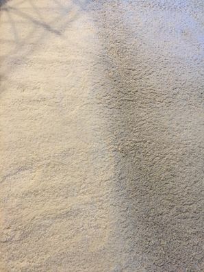 Shag Area Rug Cleaning in Jacksonville, FL (1)