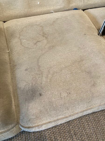 Before and After Upholstery Cleaning Services in Jacksonville, FL (5)