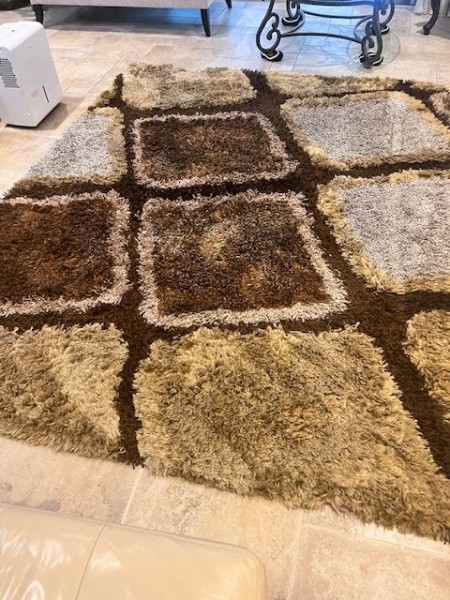 Area Rug Cleaning in Saint Augustine, FL (3)