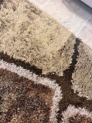 Area Rug Cleaning in Saint Augustine, FL (1)