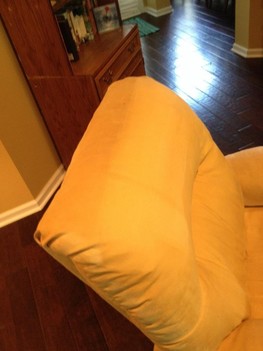 Upholstery Cleaning for a Loveseat in Jacksonville, FL