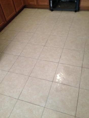 Tile & Grout Cleaning by Teddy Bear Carpet Care LLC in Jacksonville, FL