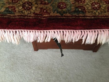 Area Rug Cleaning & Fringe Cleaning by Teddy Bear Carpet Care LLC in Jacksonville, FL