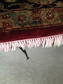 Area Rug Cleaning & Fringe Cleaning by Teddy Bear Carpet Care LLC in Jacksonville, FL