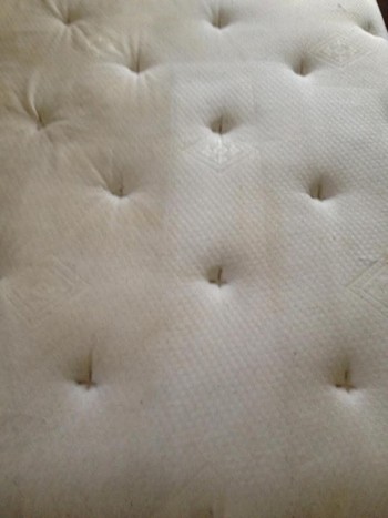 Before & After Mattress Cleaning in Jacksonville, FL