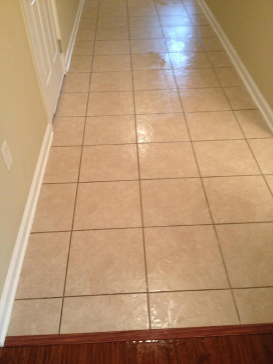 Tile & Grout Cleaning by Teddy Bear Carpet Care LLC in Jacksonville, FL